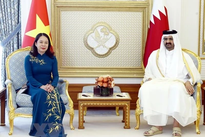 Phó Chủ tịch nước Võ Thị Ánh Xuân hội đàm với Phó Quốc vương Qatar 