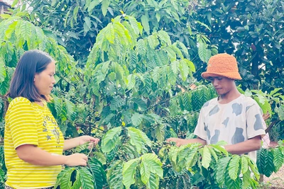 Cải thiện cuộc sống nhờ thay đổi nếp nghĩ, cách làm