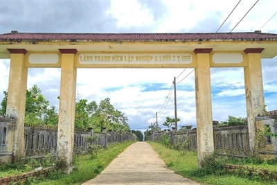 Chênh vênh làng thanh niên lập nghiệp ở A Lưới