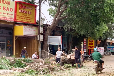 Chư Prông nâng cao năng lực phòng-chống thiên tai