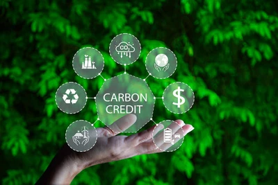 Tín chỉ carbon: Tạo doanh thu, giảm phát thải