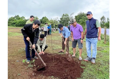 Phó Chủ tịch UBND tỉnh Nguyễn Hữu Quế tham gia trồng cây xanh tại xã Ia Hrung