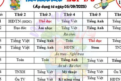 Bộ GD-ĐT chỉ đạo rà soát vụ chèn môn 'tự nguyện' vào chính khóa