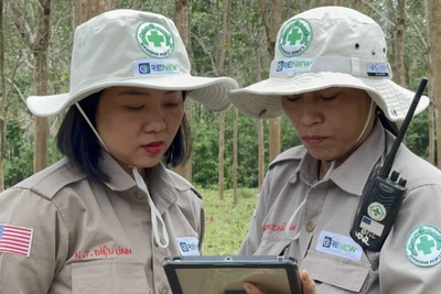 'Bông hồng thép' Diệu Linh