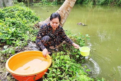 Tập trung bảo đảm cấp nước sinh hoạt cho người dân Đồng bằng sông Cửu Long