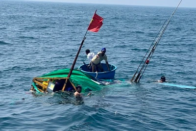 Tàu cá Quảng Ngãi gặp nạn ở Hoàng Sa