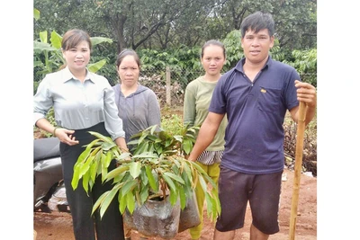 Trao “cần câu” cho nông dân nghèo