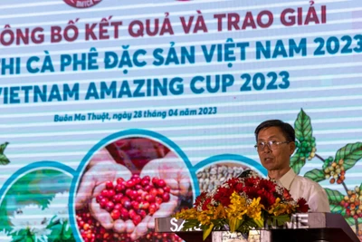 Có 71 mẫu cà phê đạt Chứng nhận cà phê đặc sản Việt Nam năm 2023