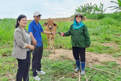 Niềm vui thoát nghèo