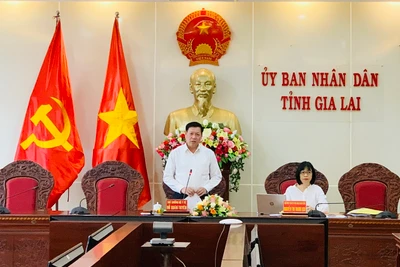 Thứ trưởng Thường trực Bộ Y tế Đỗ Xuân Tuyên làm việc với Ủy ban nhân dân tỉnh Gia Lai