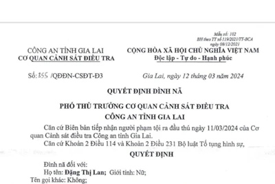 Quyết định đình nã đối với Đặng Thị Lan