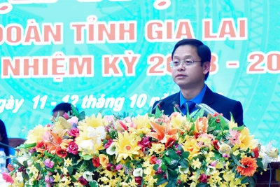 Ông Nguyễn Hoàng Phong được bầu giữ chức Chủ tịch LĐLĐ tỉnh Gia Lai nhiệm kỳ 2023-2028