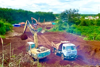 Gia Lai: Tăng cường quản lý việc cải tạo đất nông nghiệp và tận dụng đất dôi dư để san lấp phục vụ công trình