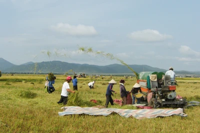 Quyết tâm giải ngân 100% vốn Chương trình MTQG giảm nghèo bền vững năm 2023