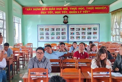 Kbang: Tập huấn phát triển vùng dược liệu theo chuỗi liên kết 