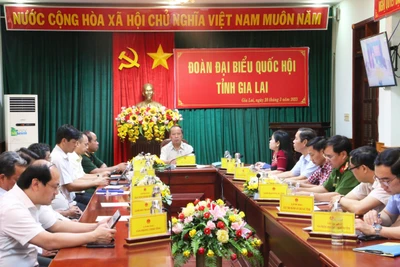 Cần hoàn thiện hệ thống pháp luật nhằm tạo sự đồng bộ