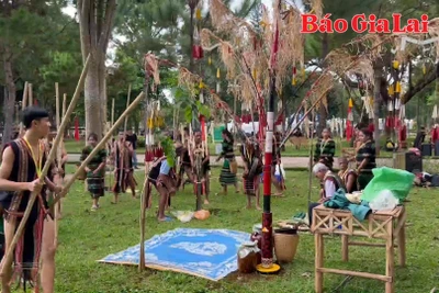 Nghệ nhân Tây Nguyên háo hức tham gia Festival 