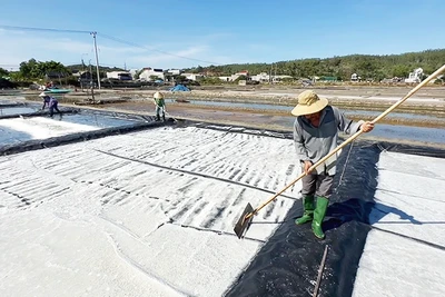 Nậu nại đất Sa Huỳnh