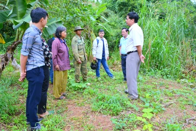 Tri ân người nằm xuống