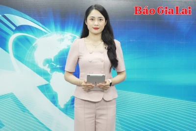 Gia Lai 24h: Gia Lai: Thu hồi đất các trường hợp thuê đất không đưa vào sử dụng