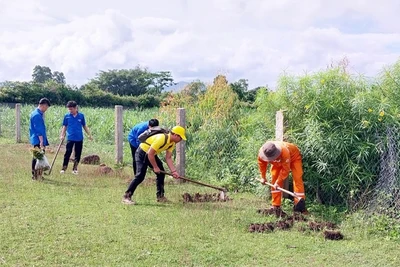 Tuổi trẻ Kông Chro trồng hơn 13.000 cây xanh 