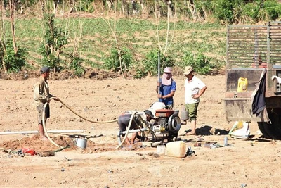 Kon Tum: Cấp bách phòng, chống hạn hán