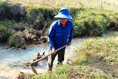 Chư Păh bảo đảm nước tưới vụ Đông Xuân