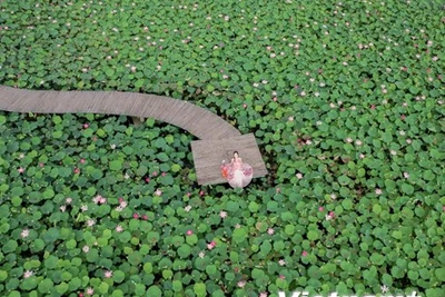 Trải nghiệm Thu lãng mạn ở 'thiên đường sống ảo' của Ninh Bình