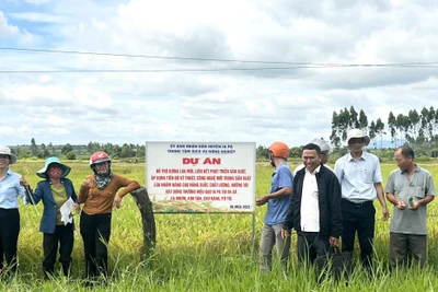 Hội thảo đánh giá sản xuất lúa ĐT100 tại xã Chư Răng