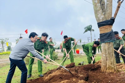 Đắk Lắk sẽ có đô thị hoa đào trong tương lai