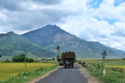 Gia Lai: Mảnh đất màu mỡ để phát triển du lịch nông thôn 