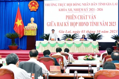 Phiên chất vấn giữa 2 kỳ họp HĐND tỉnh: Thẳng thắn, trách nhiệm