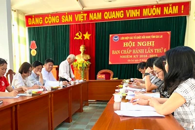 Đại hội đại biểu Liên hiệp các tổ chức hữu nghị tỉnh dự kiến diễn ra vào quý III-2023