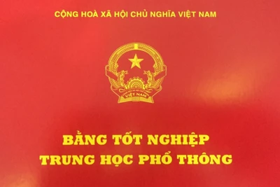 Nữ hiệu trưởng bị thu hồi, hủy bỏ bằng tốt nghiệp