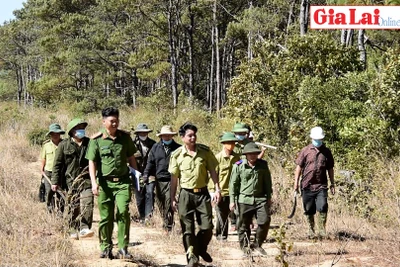 Mang Yang chủ động phòng-chống cháy rừng