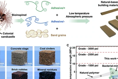 Phát triển loại vật liệu xây dựng mới có thể tiết kiệm năng lượng