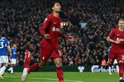 Ngoại hạng Anh: Tân binh Gakpo ghi bàn đầu tiên, Liverpool thắng trận derby