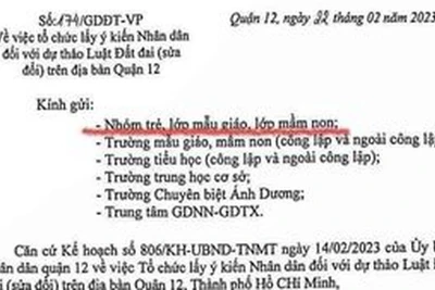 TP HCM: Sự thật về văn bản lấy ý kiến trẻ mẫu giáo, mầm non về dự thảo Luật Đất đai