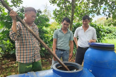 Sử dụng chế phẩm IMO trong sản xuất nông nghiệp: Chi phí thấp, hiệu quả cao