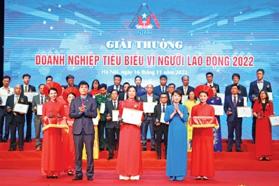 Thành Thành Công Gia Lai: Ứng dụng công nghệ cao trong sản xuất mía đường 