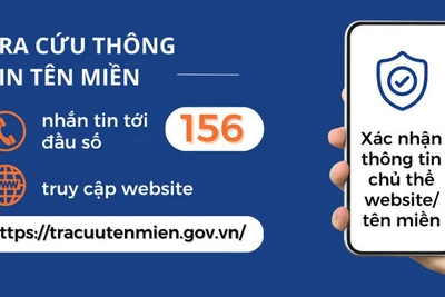 Sử dụng đầu số 156 để tra cứu thông tin tên miền