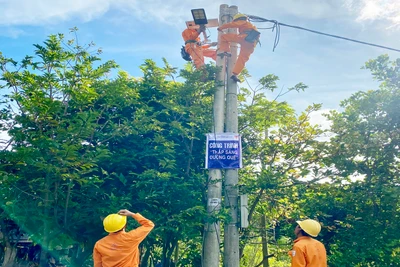 Tuổi trẻ ngành điện tích cực tham gia “Ngày thứ 7 tình nguyện”