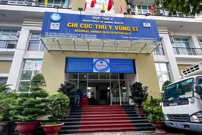 Lãnh đạo Chi cục Thú y vùng 6 bị công an mời về trụ sở làm việc