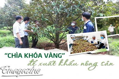 “Chìa khóa vàng” để xuất khẩu nông sản