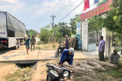 Krông Pa đưa giống mới vào sản xuất vụ mùa