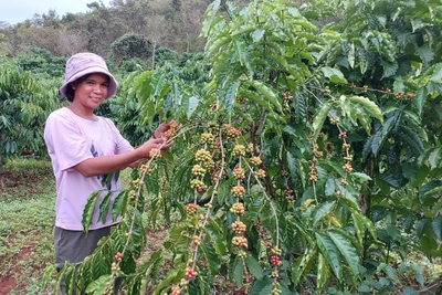 “Tiếp sức” để hộ nghèo vươn lên