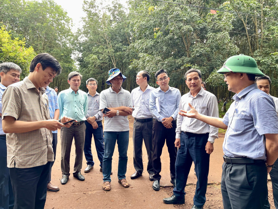 Đoàn công tác tiến hành khảo sát tại địa điểm phân khu xây dựng Khu công nghiệp Đak Đoa (xã Kdang). Ảnh: Vũ Thảo doan-cong-tac-tien-hanh-khao-sat-tai-khu-vuc-xa-kdang-anh-vu-thao.jpg