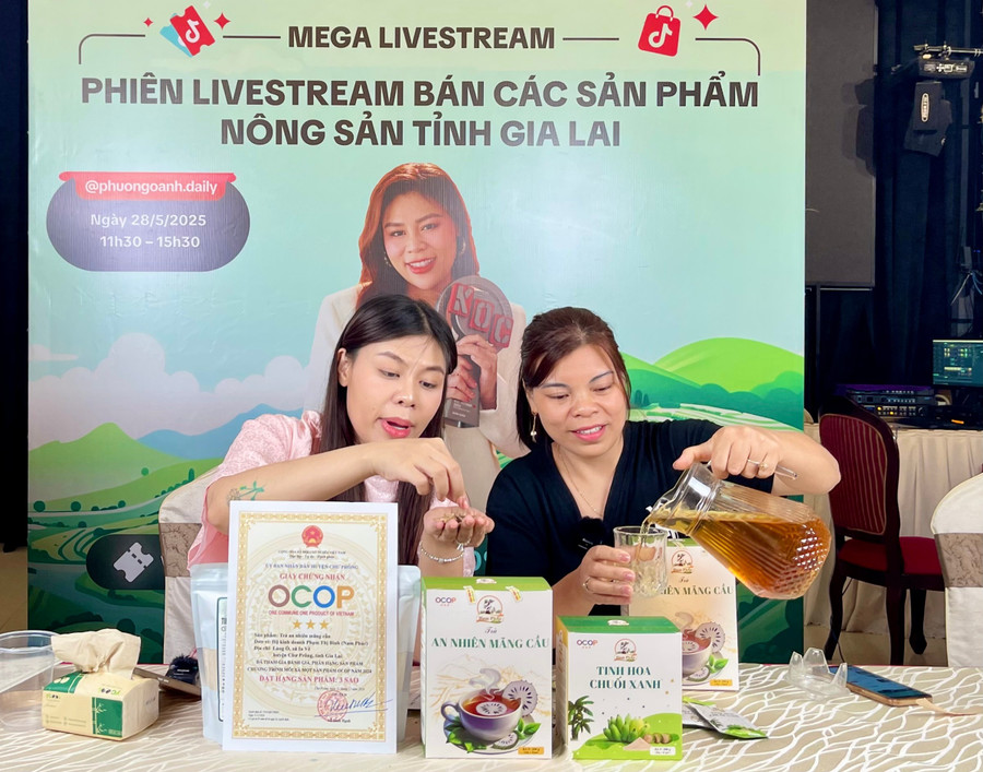 cung-voi-xttm-truyen-thong-cac-chu-the-ocop-con-duoc-ho-tro-livestream-ban-hang-tren-nen-tang-tiktok-shop-anh-vu-thao.jpg