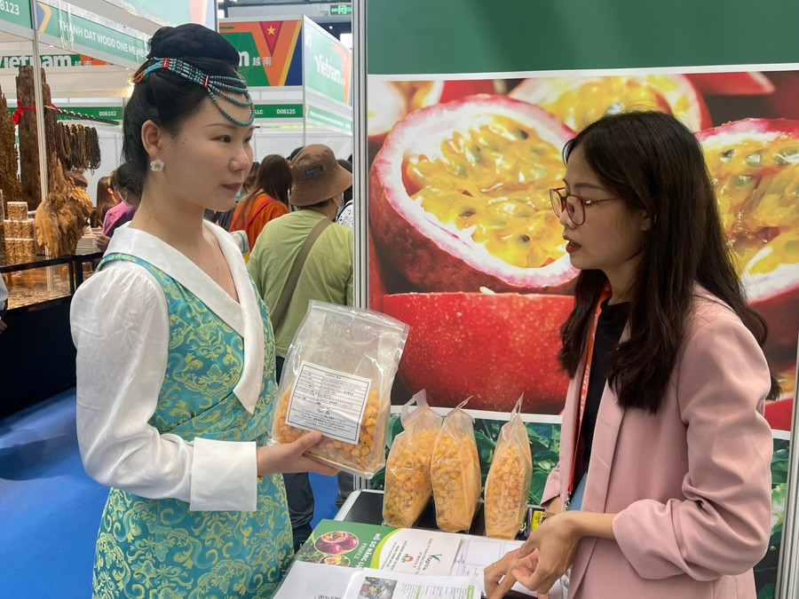 Doanh nghiệp của Gia Lai tham gia Hội chợ Trung Quốc-ASEAN lần thứ 20 (CAEXPO 2023). Ảnh: ĐVCC doanh-nghiep-cua-gia-lai-tham-gia-hoi-cho-trung-quoc-asean-lan-thu-20-caexpo-2023-duoc-to-chuc-tu-ngay-16-199-tai-tp-nam-ninh-tinh-quang-tay-trung-quoc-anh-dvcc.jpg