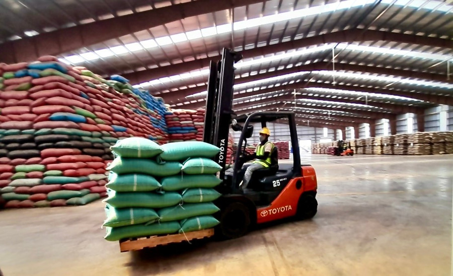 Kho hàng cà phê xuất khẩu của Công ty TNHH Vĩnh Hiệp. Ảnh: V.T kho-hang-vinh-hiep.jpg